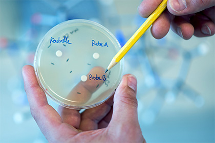 Ученые проследили за каннибализмом у бактерий