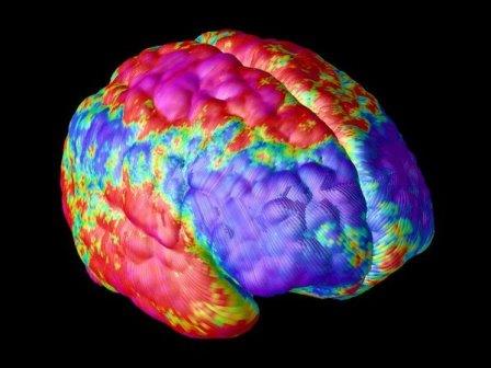 Уменьшение количества связей между нейронами мозга при шизофрении подтверждено на живых пациентах